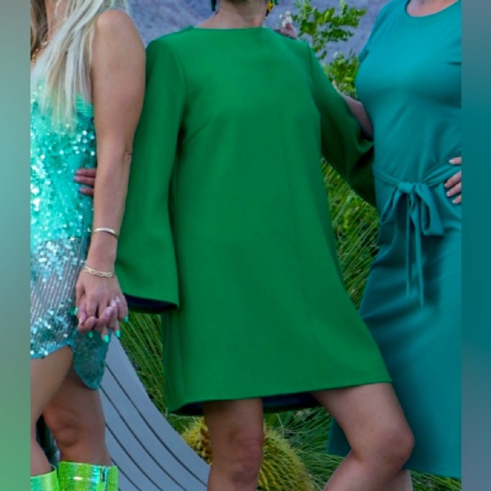 Pre-worn Zara Kelly green mini dress size small.